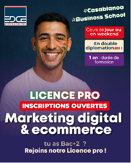 Licence pro - Marketing digital & ecommerce